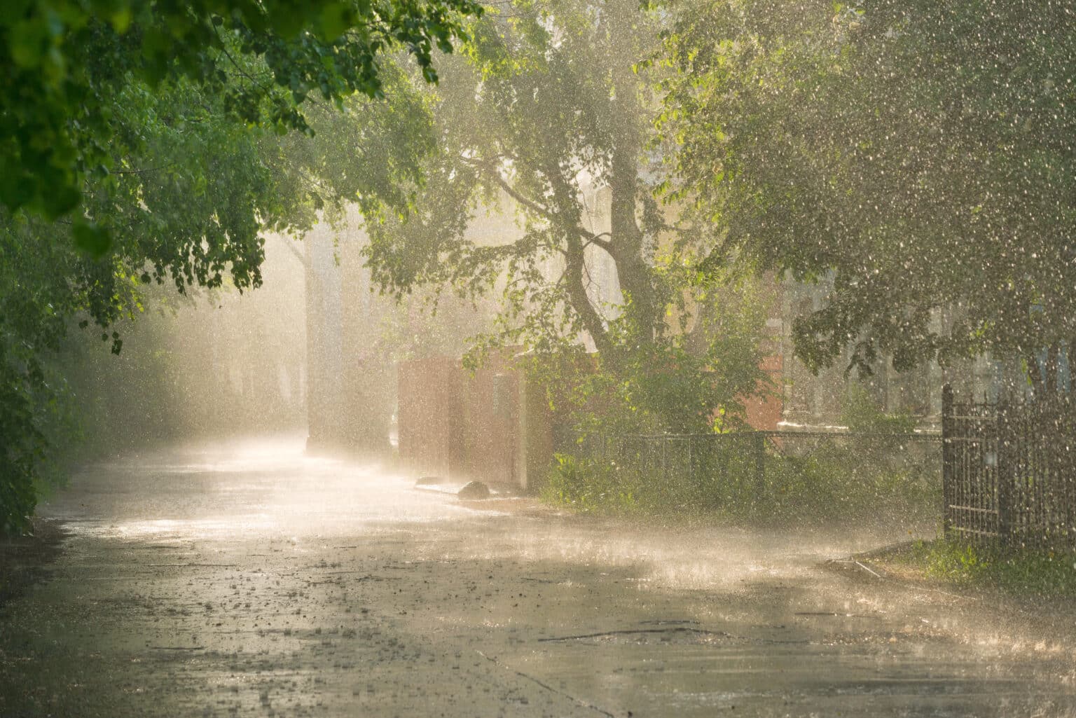A alternativa versátil e mais elegante para os dias de chuva do que as galochas