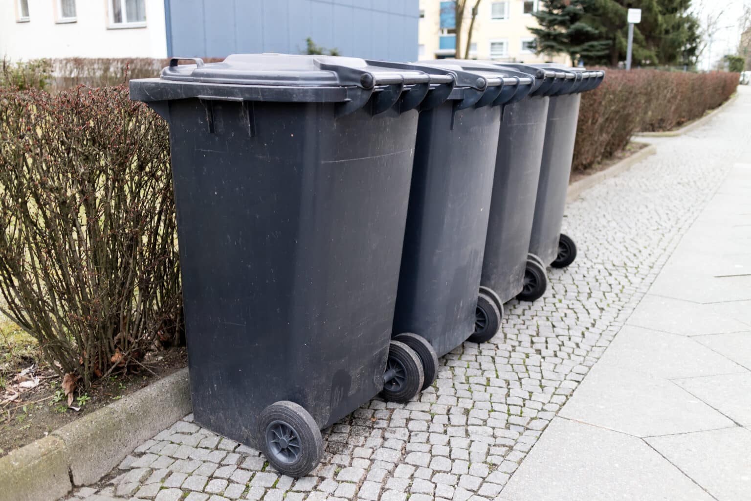 obter um desconto de 30% na tarifa de recolha de lixo doméstico