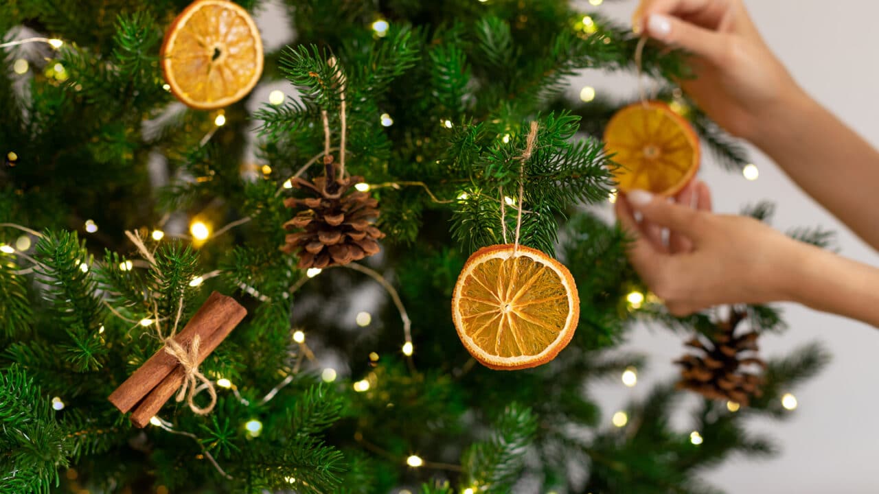 canela na árvore de Natal