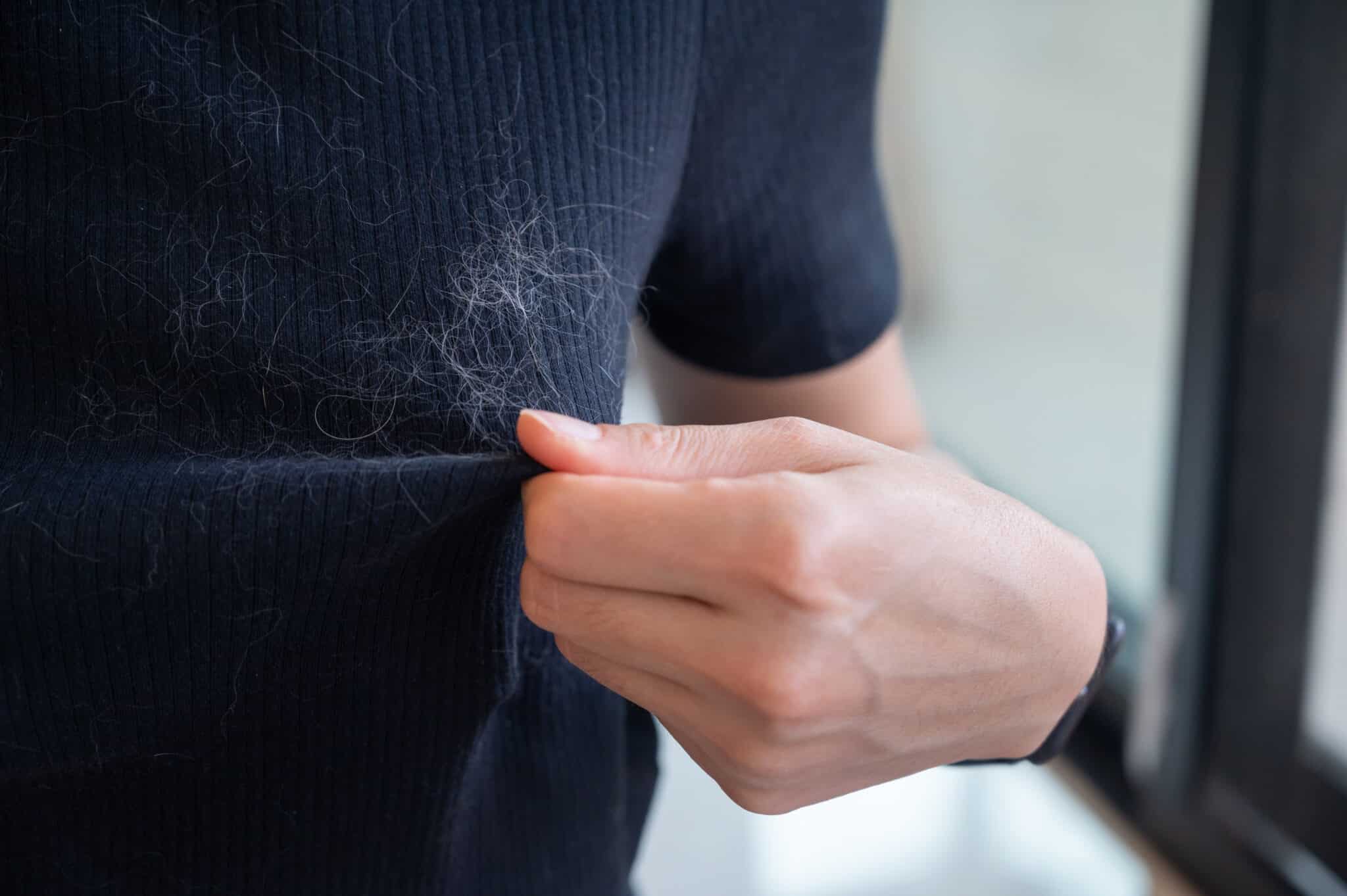 remover os pelos de gato da roupa sem danificá-la