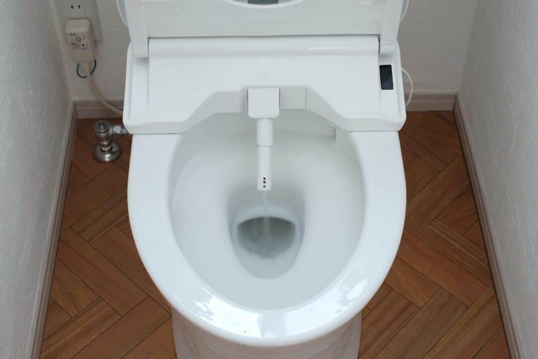 sanitas inteligentes para substituir o bidé.